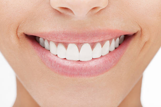 top cosmetic dentist in trinity florida