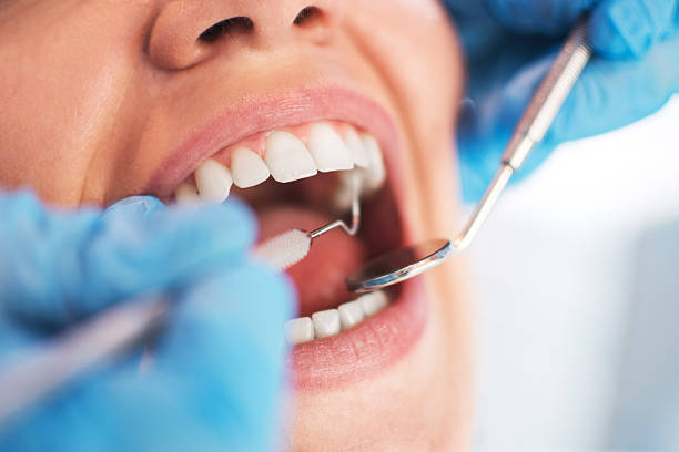 best cosmetic dentist palm harbor